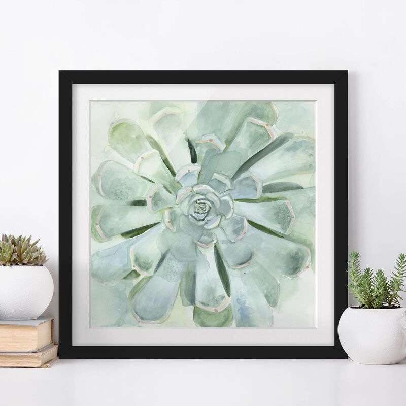 

Póster enmarcado - Succulent Watercolor Bright Dimensión LxA: 70cm x 70cm, Marco: Negro