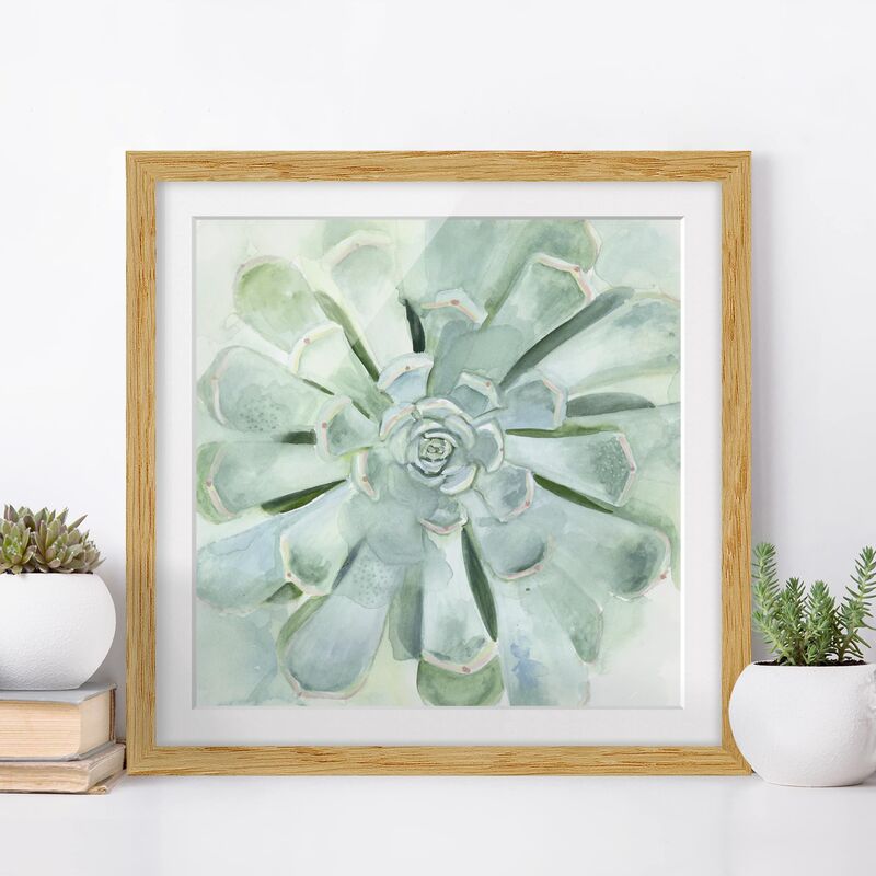 

Póster enmarcado - Succulent Watercolor Bright Dimensión LxA: 70cm x 70cm, Marco: Roble