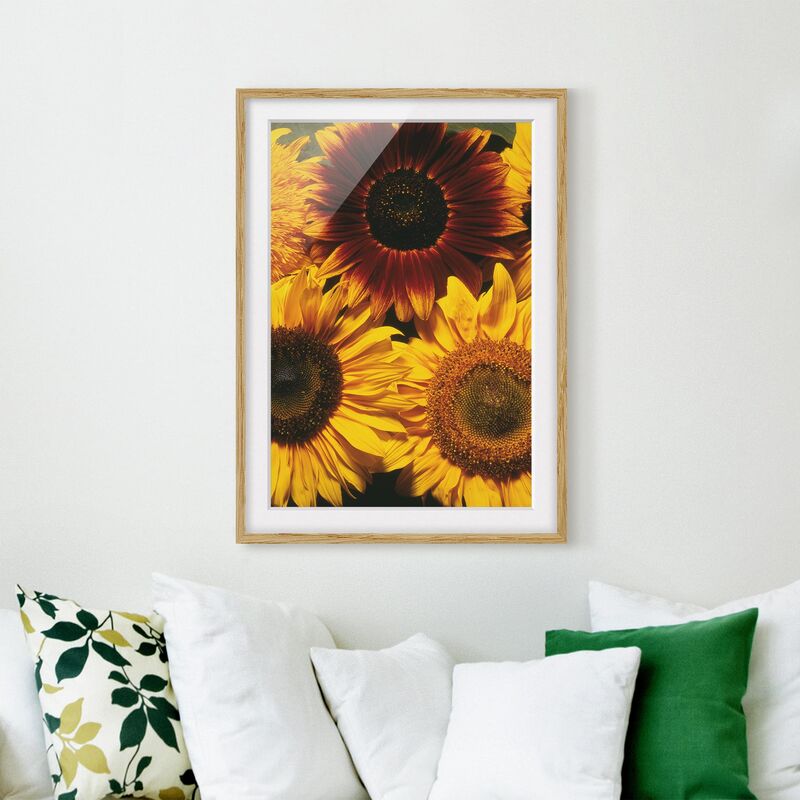 

Póster enmarcado - Sunflowers Dimensión LxA: 55cm x 40cm, Marco: Roble