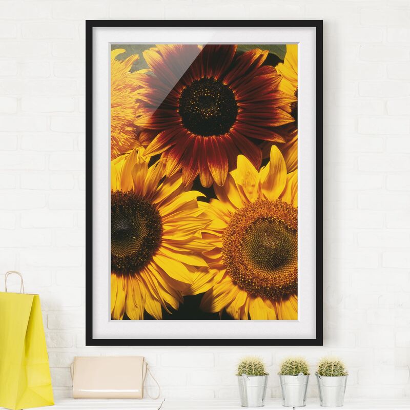 

Póster enmarcado - Sunflowers Dimensión LxA: 70cm x 50cm, Marco: Negro