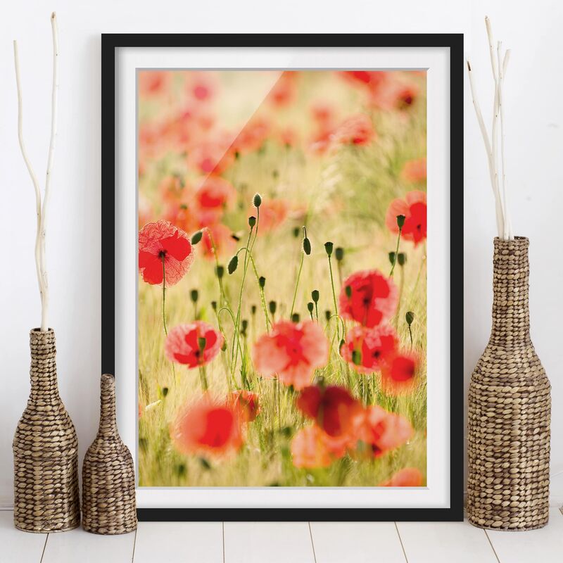 

Póster enmarcado - Summer Poppies Dimensión LxA: 40cm x 30cm, Marco: Negro