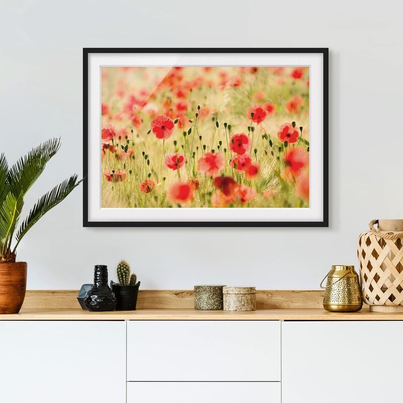 

Póster enmarcado - Summer Poppies Dimensión LxA: 50cm x 70cm, Marco: Negro