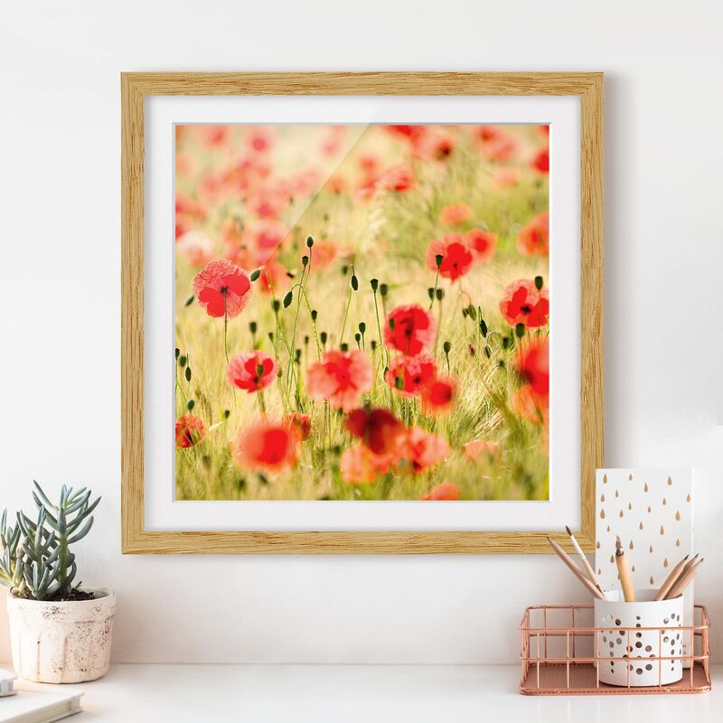 

Póster enmarcado - Summer Poppies Dimensión LxA: 30cm x 30cm, Marco: Roble