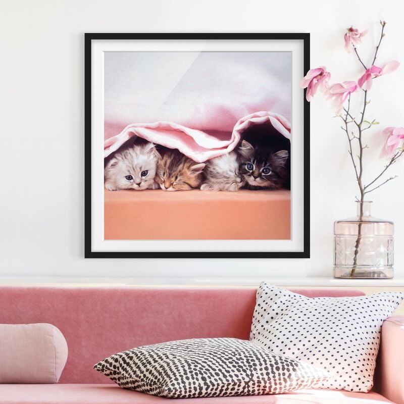 

Póster enmarcado - Sugar-Sweet Dimensión LxA: 70cm x 70cm, Marco: Negro