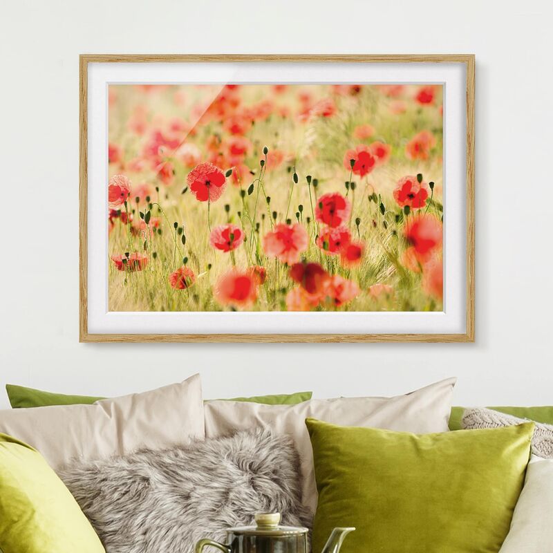 

Póster enmarcado - Summer Poppies Dimensión LxA: 50cm x 70cm, Marco: Roble