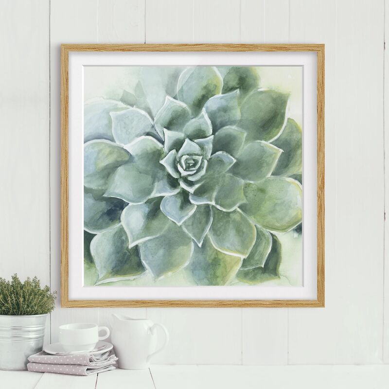 

Póster enmarcado - Succulent Watercolor Dark Dimensión LxA: 20cm x 20cm, Marco: Roble