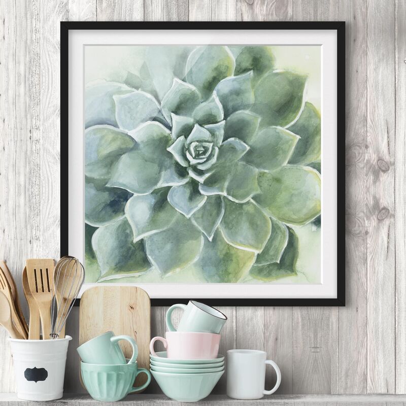 

Póster enmarcado - Succulent Watercolor Dark Dimensión LxA: 20cm x 20cm, Marco: Negro