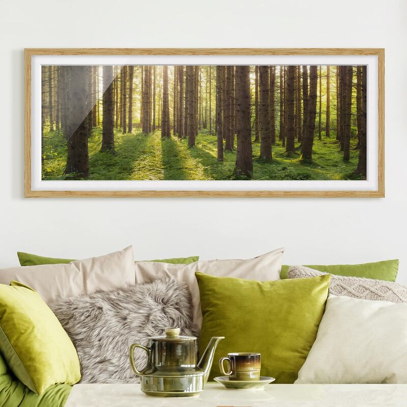 

Póster enmarcado - Raggi Di Sole Nella Foresta Verde Dimensión LxA: 50cm x 130cm, Marco: Roble