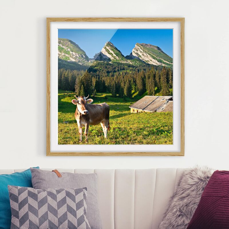 

Póster enmarcado - Swiss Alpine Meadow With Cow Dimensión LxA: 50cm x 50cm, Marco: Roble