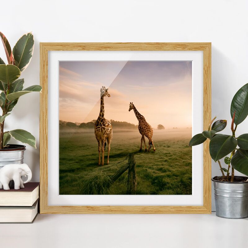 

Póster enmarcado - Surreal Giraffes Dimensión LxA: 20cm x 20cm, Marco: Roble