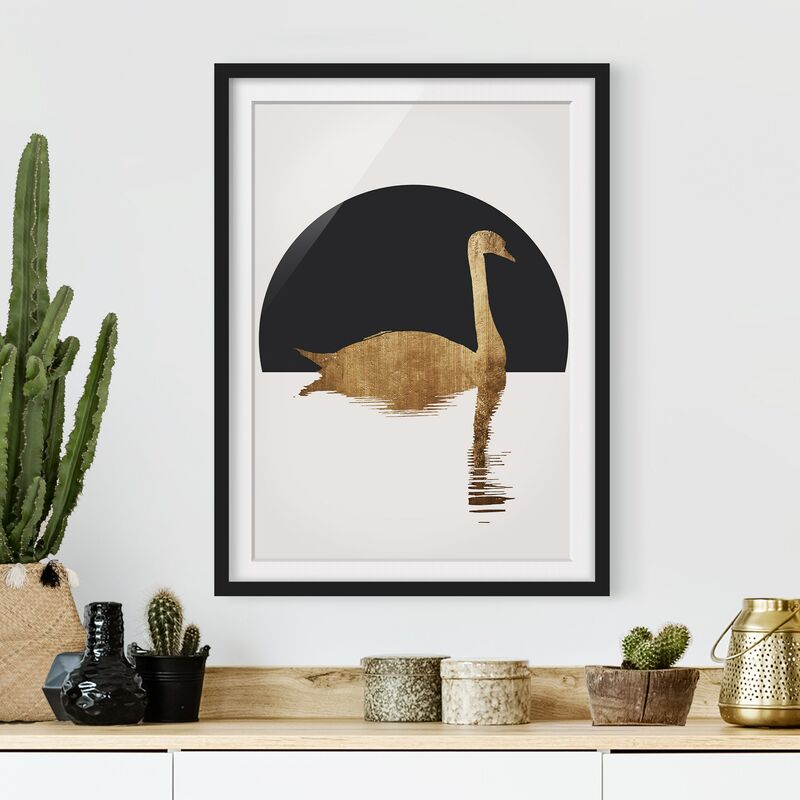 

Póster enmarcado - Cigno in oro Dimensión LxA: 24cm x 18cm, Marco: Negro