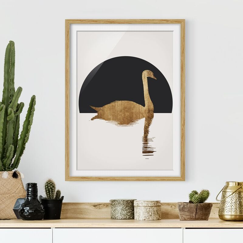 

Póster enmarcado - Cigno in oro Dimensión LxA: 70cm x 50cm, Marco: Roble