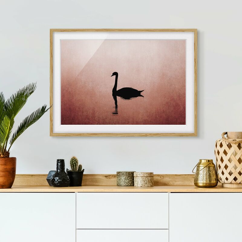 

Póster enmarcado - Cigno al tramonto Dimensión LxA: 40cm x 55cm, Marco: Roble