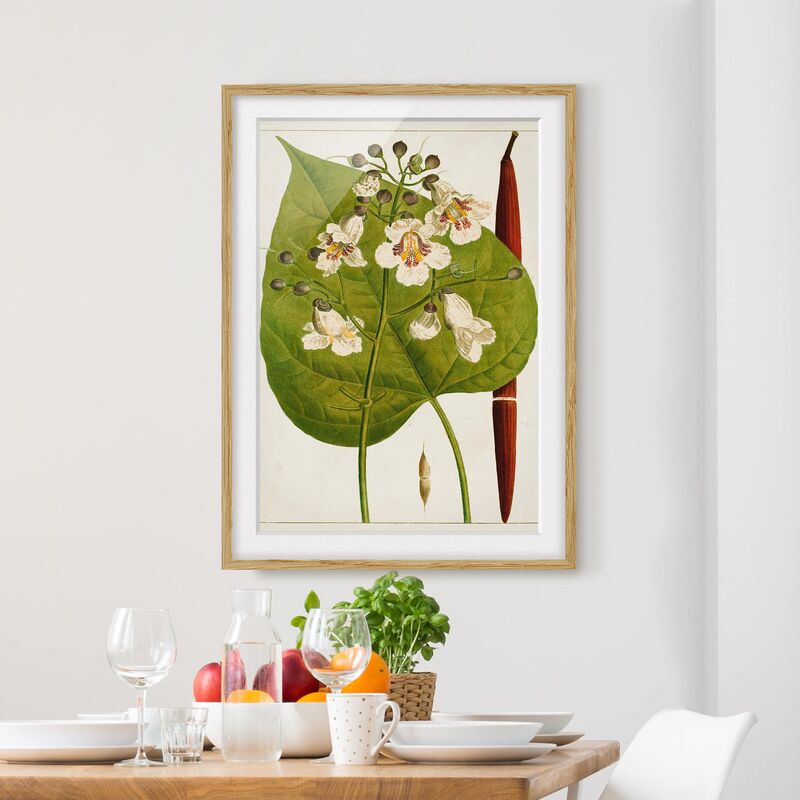 

Póster enmarcado - Foglia Tableau Fiore Frutta V Dimensión LxA: 70cm x 50cm, Marco: Roble