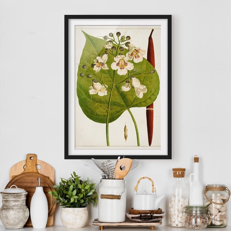 

Póster enmarcado - Foglia Tableau Fiore Frutta V Dimensión LxA: 70cm x 50cm, Marco: Negro