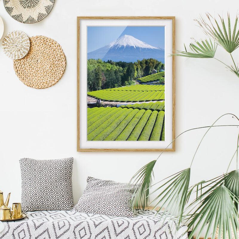 

Póster enmarcado - Tea Fields In Front Of The Fuji Dimensión LxA: 24cm x 18cm, Marco: Roble