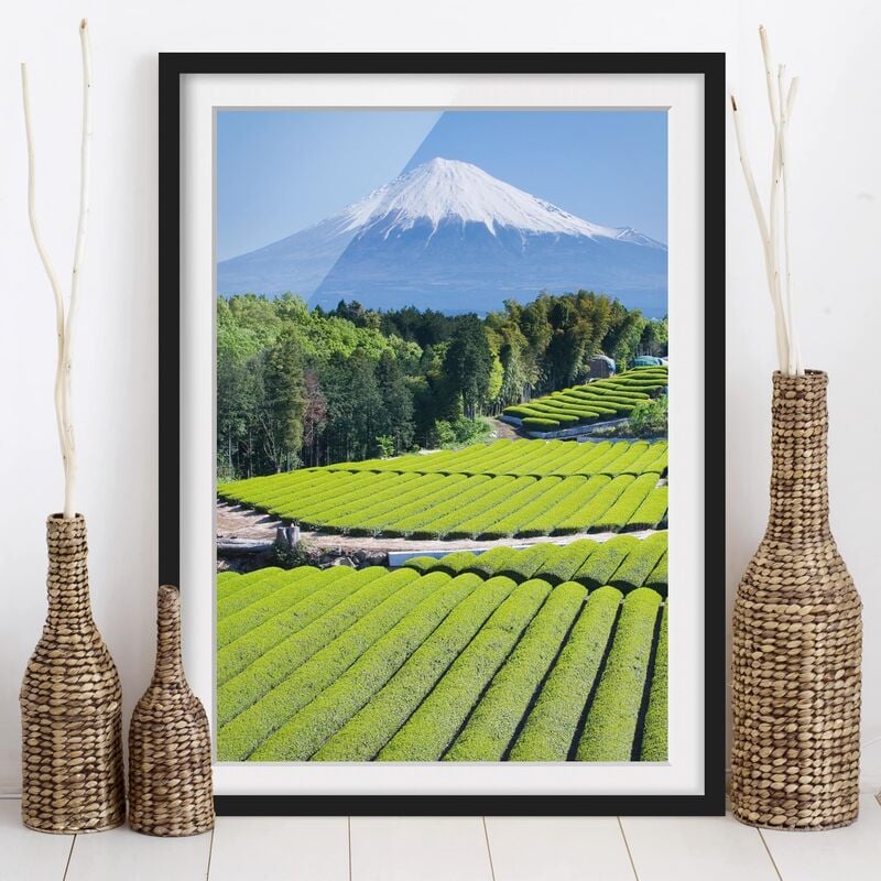 

Póster enmarcado - Tea Fields In Front Of The Fuji Dimensión LxA: 55cm x 40cm, Marco: Negro