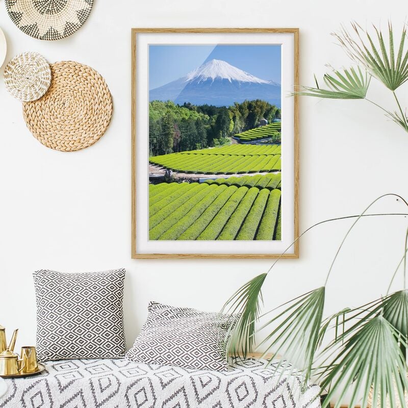 

Póster enmarcado - Tea Fields In Front Of The Fuji Dimensión LxA: 70cm x 50cm, Marco: Roble