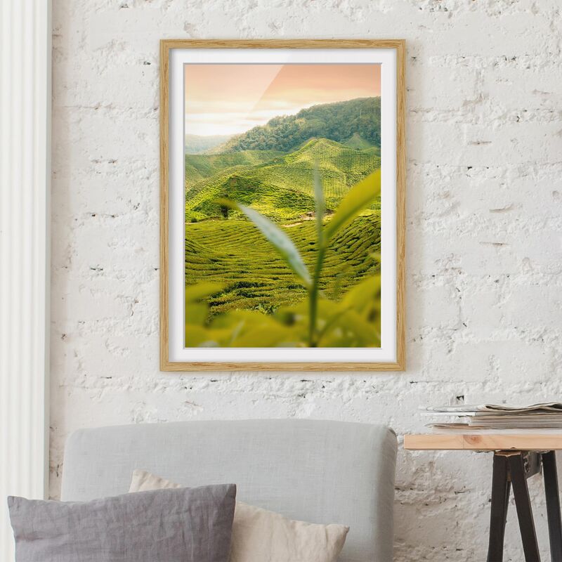 

Póster enmarcado - Teagarden Dimensión LxA: 24cm x 18cm, Marco: Roble