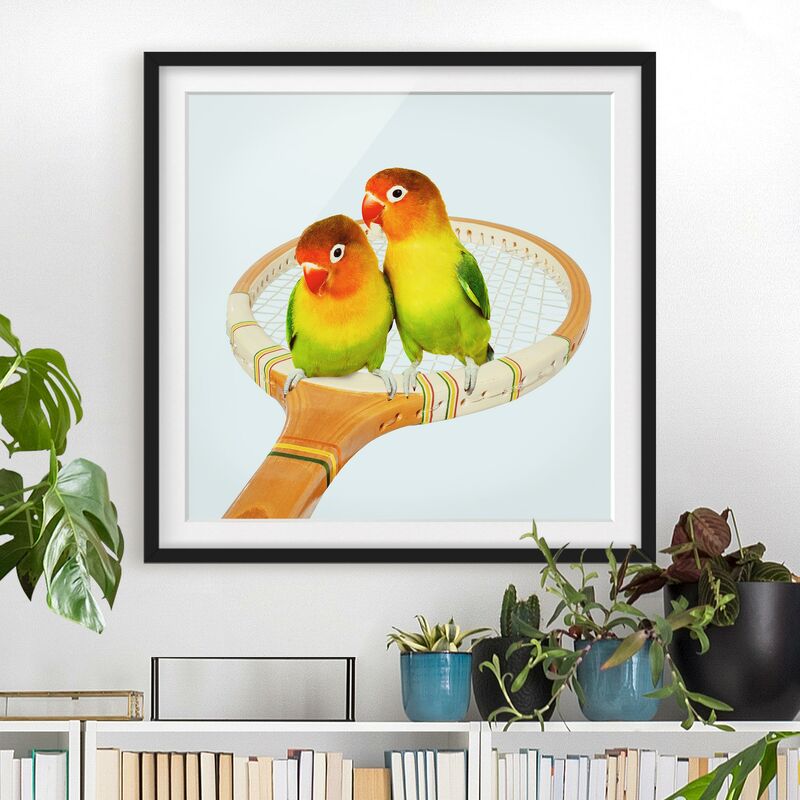 

Póster enmarcado - Tennis Con Uccelli Dimensión LxA: 30cm x 30cm, Marco: Negro