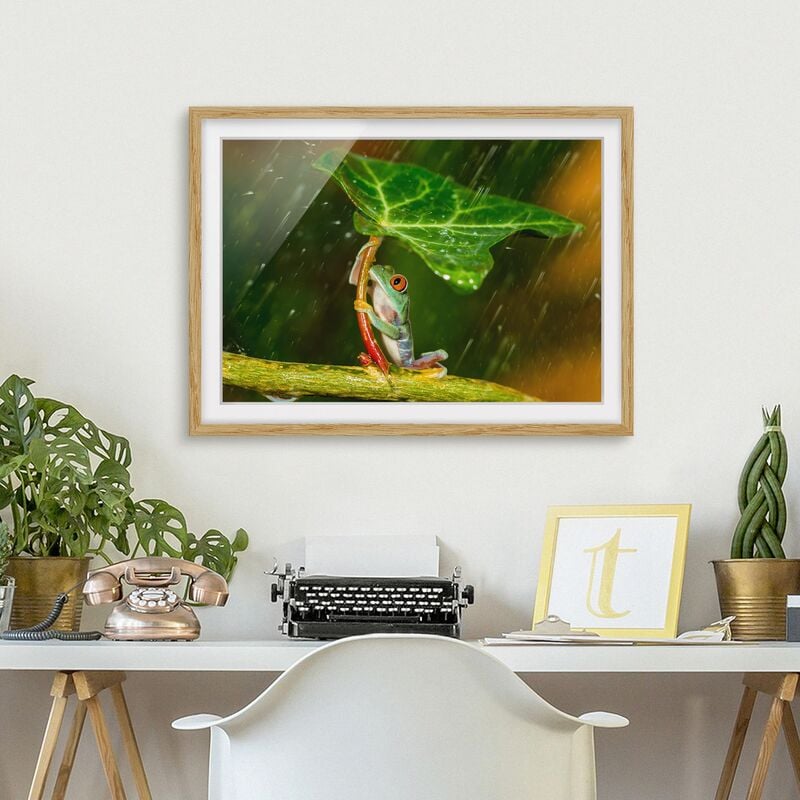 

Póster enmarcado - Una Rana In The Rain Dimensión LxA: 40cm x 55cm, Marco: Roble