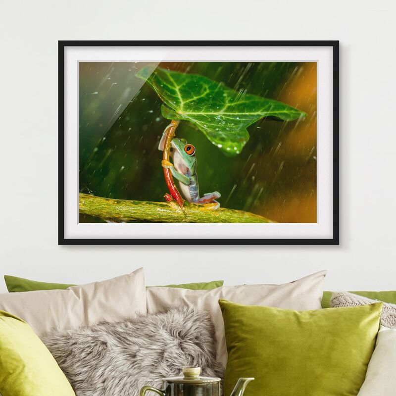 

Póster enmarcado - Una Rana In The Rain Dimensión LxA: 50cm x 70cm, Marco: Negro