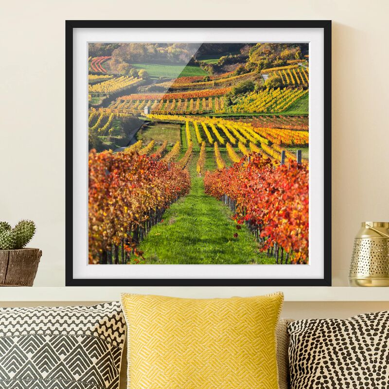 

Póster enmarcado - Vineyard View Dimensión LxA: 30cm x 30cm, Marco: Negro