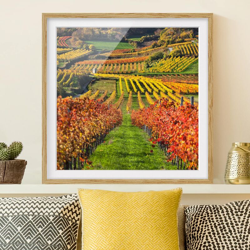 

Póster enmarcado - Vineyard View Dimensión LxA: 20cm x 20cm, Marco: Roble