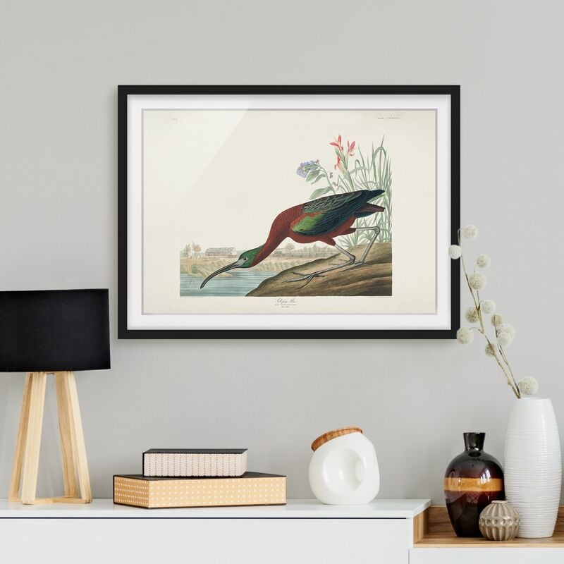 

Póster enmarcado - Vintage Consiglio Brauner Ibis Dimensión LxA: 40cm x 55cm, Marco: Negro