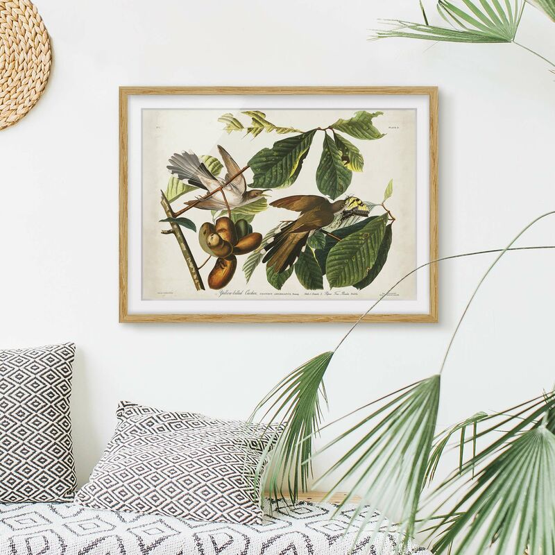 

Póster enmarcado - Vintage Consiglio Cuckoo II Dimensión LxA: 40cm x 55cm, Marco: Roble