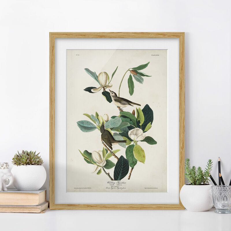 

Póster enmarcado - Flycatchers Consiglio d'epoca Dimensión LxA: 100cm x 70cm, Marco: Roble