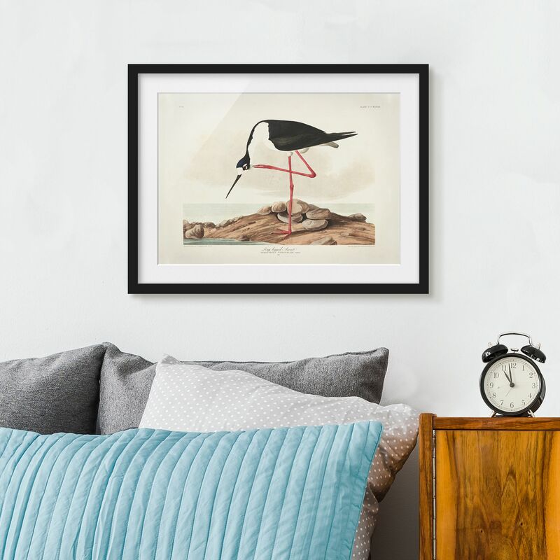 

Póster enmarcado - Vintage Consiglio Leggy Avocetta Dimensión LxA: 30cm x 40cm, Marco: Negro