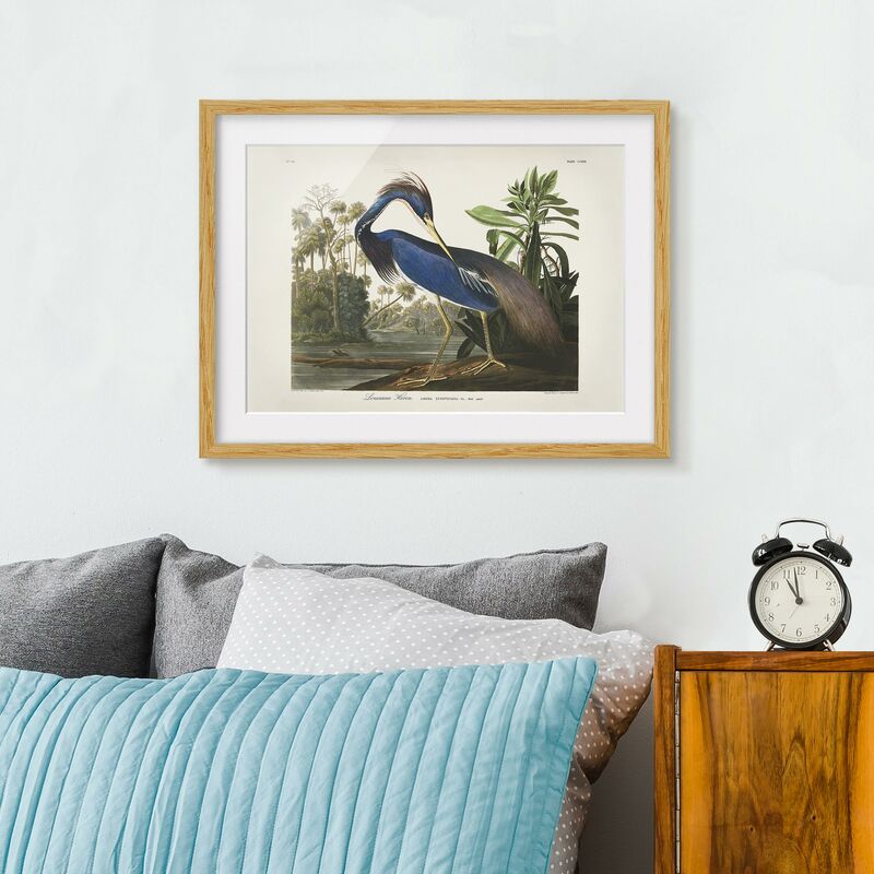 

Póster enmarcado - bordo Vintage Louisiana Heron Dimensión LxA: 18cm x 24cm, Marco: Roble