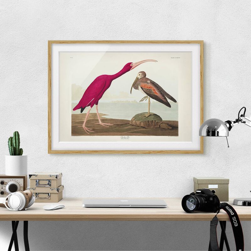 

Póster enmarcado - Vintage Consiglio Rosso Ibis Dimensión LxA: 18cm x 24cm, Marco: Roble