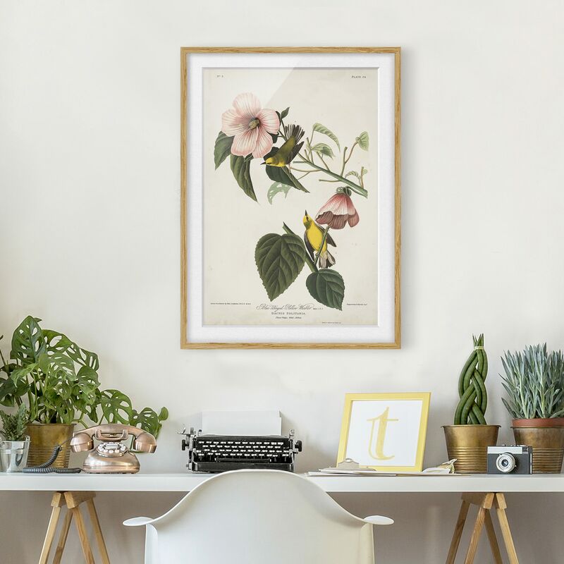 

Póster enmarcado - Vintage Consiglio Warbler II Dimensión LxA: 70cm x 50cm, Marco: Roble