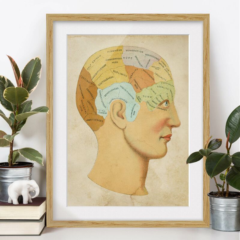 

Póster enmarcado - Vintage mappa del The Soul Dimensión LxA: 55cm x 40cm, Marco: Roble