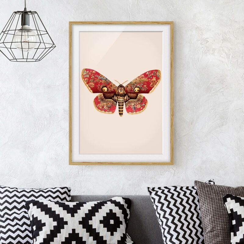 

Póster enmarcado - Vintage Moth Dimensión LxA: 55cm x 40cm, Marco: Roble