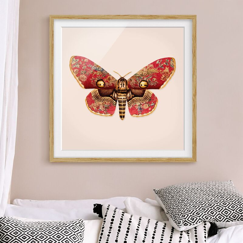 

Póster enmarcado - Vintage Moth Dimensión LxA: 70cm x 70cm, Marco: Roble