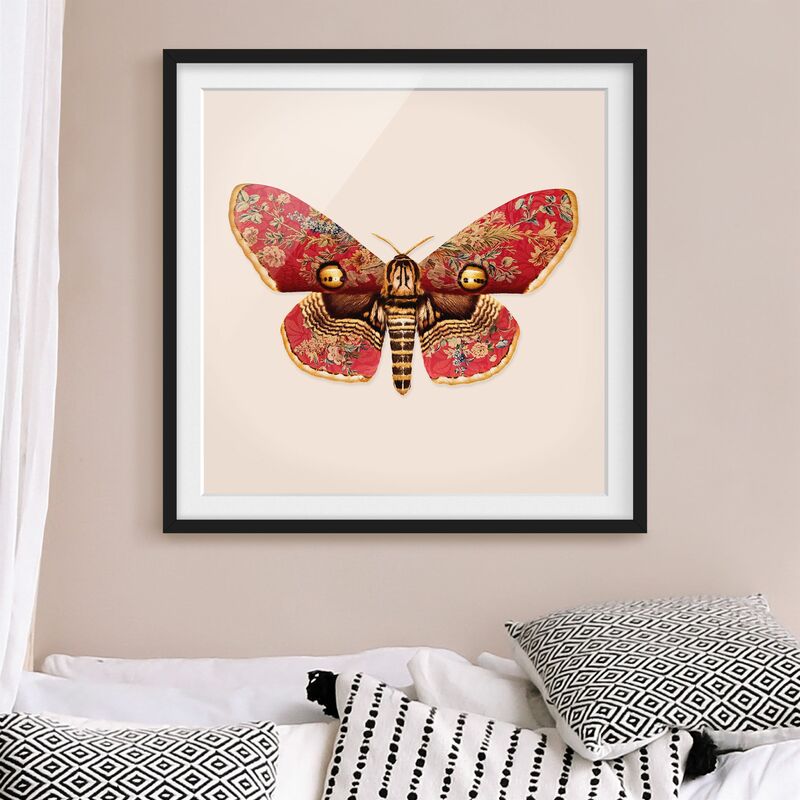 

Póster enmarcado - Vintage Moth Dimensión LxA: 70cm x 70cm, Marco: Negro