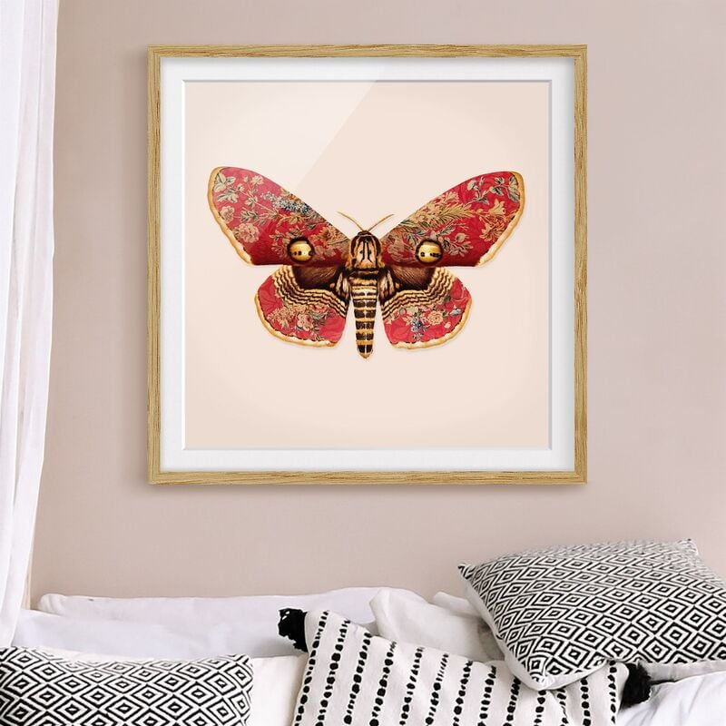 

Póster enmarcado - Vintage Moth Dimensión LxA: 30cm x 30cm, Marco: Roble