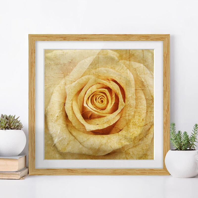 

Póster enmarcado - Vintage Rose Dimensión LxA: 20cm x 20cm, Marco: Roble