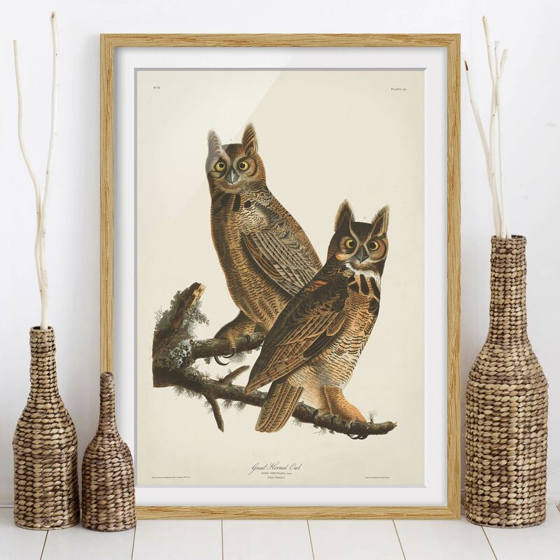 

Póster enmarcado - Grafico parete Vintage Due Gufi Grandi Dimensión LxA: 55cm x 40cm, Marco: Roble