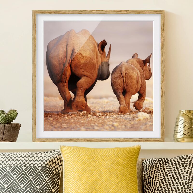 

Póster enmarcado - Wandering Rhinos Dimensión LxA: 70cm x 70cm, Marco: Roble