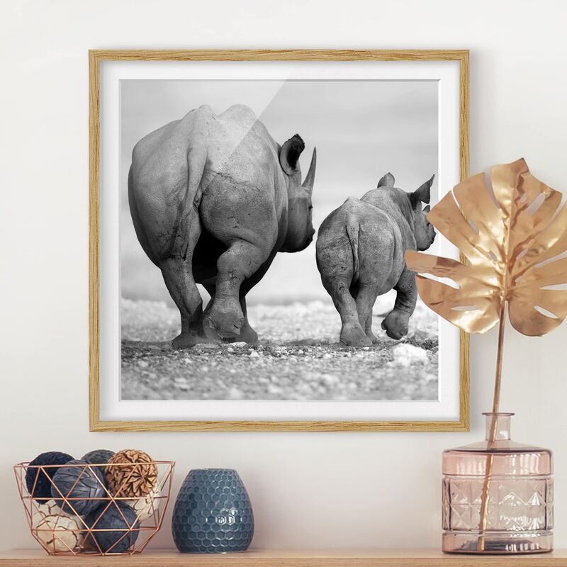 

Póster enmarcado - Wandering Rhinos II Dimensión LxA: 70cm x 70cm, Marco: Roble