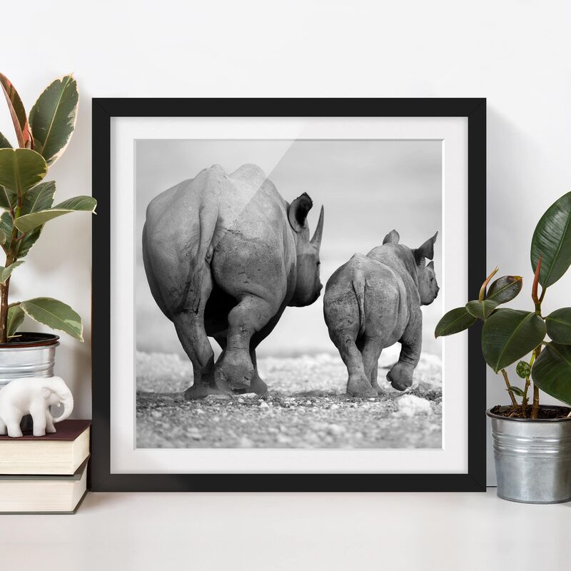 

Póster enmarcado - Wandering Rhinos II Dimensión LxA: 50cm x 50cm, Marco: Negro