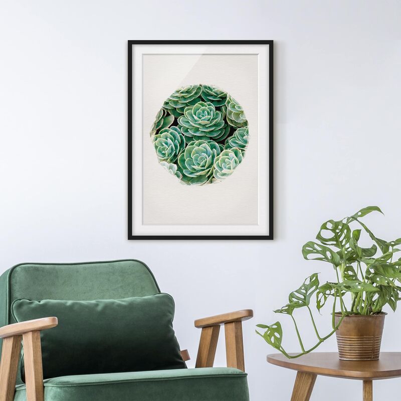 

Póster enmarcado - Acquarelli - Succulente Verde Dimensión LxA: 70cm x 50cm, Marco: Negro