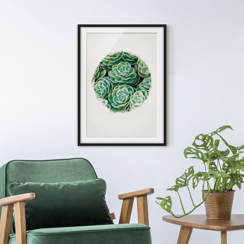 

Póster enmarcado - Acquarelli - Succulente Verde Dimensión LxA: 55cm x 40cm, Marco: Negro