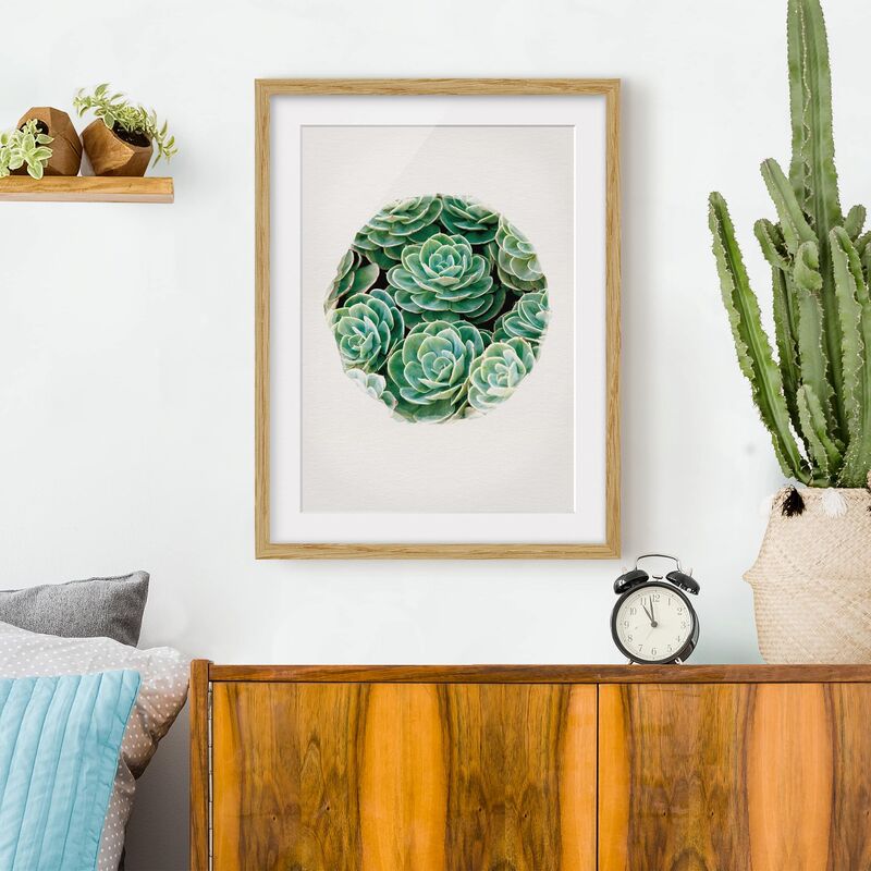 

Póster enmarcado - Acquarelli - Succulente Verde Dimensión LxA: 55cm x 40cm, Marco: Roble