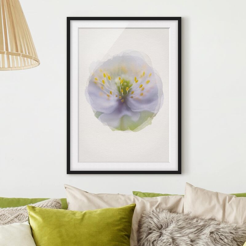 

Póster enmarcado - Acquarelli - Anemoni di bellezza Dimensión LxA: 55cm x 40cm, Marco: Negro