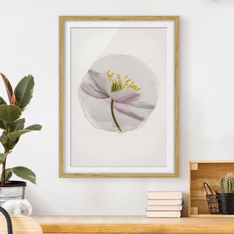 

Póster enmarcado - Acquerelli - Nemorosa Dimensión LxA: 24cm x 18cm, Marco: Roble